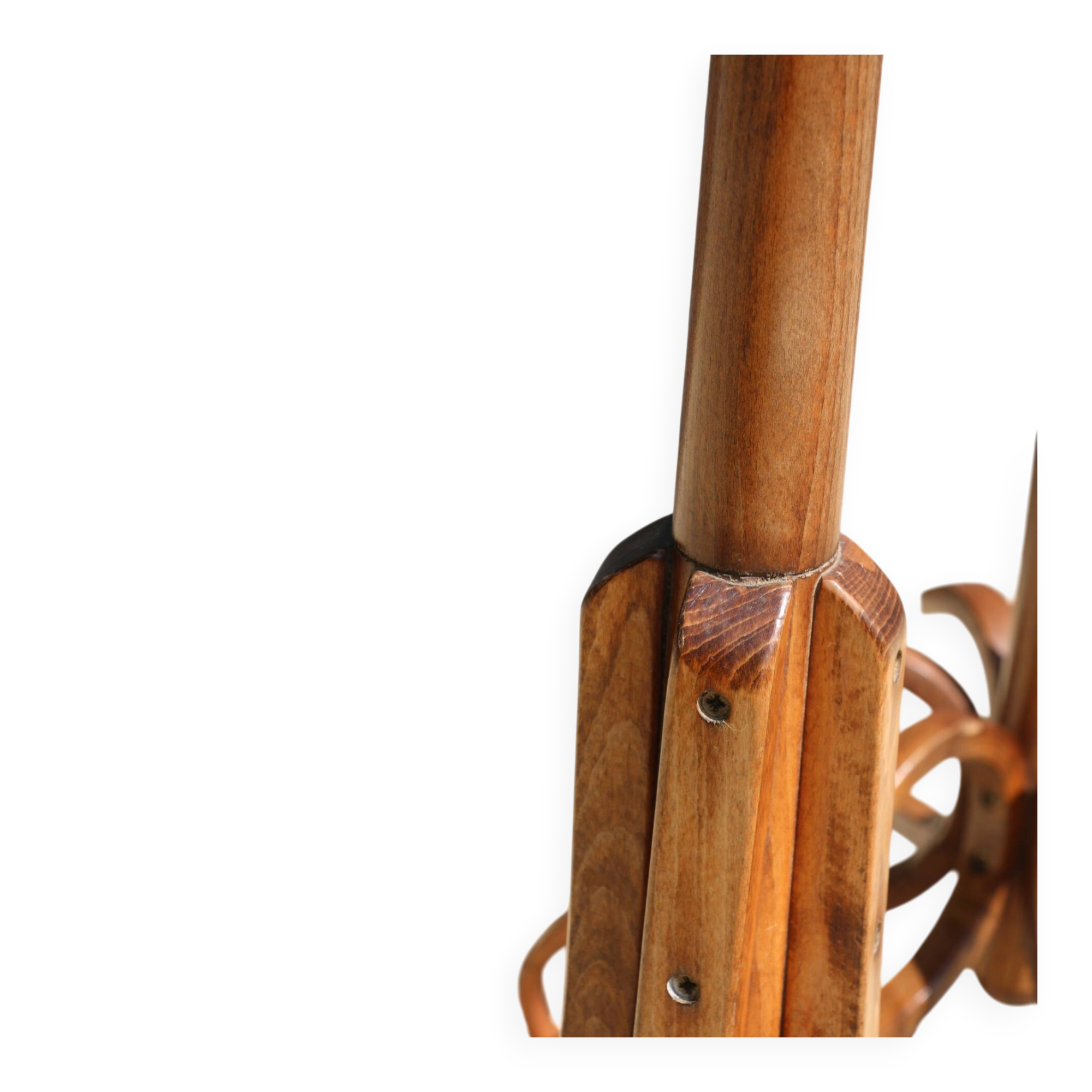 Dark BAUMANN parrot coat rack (A3)