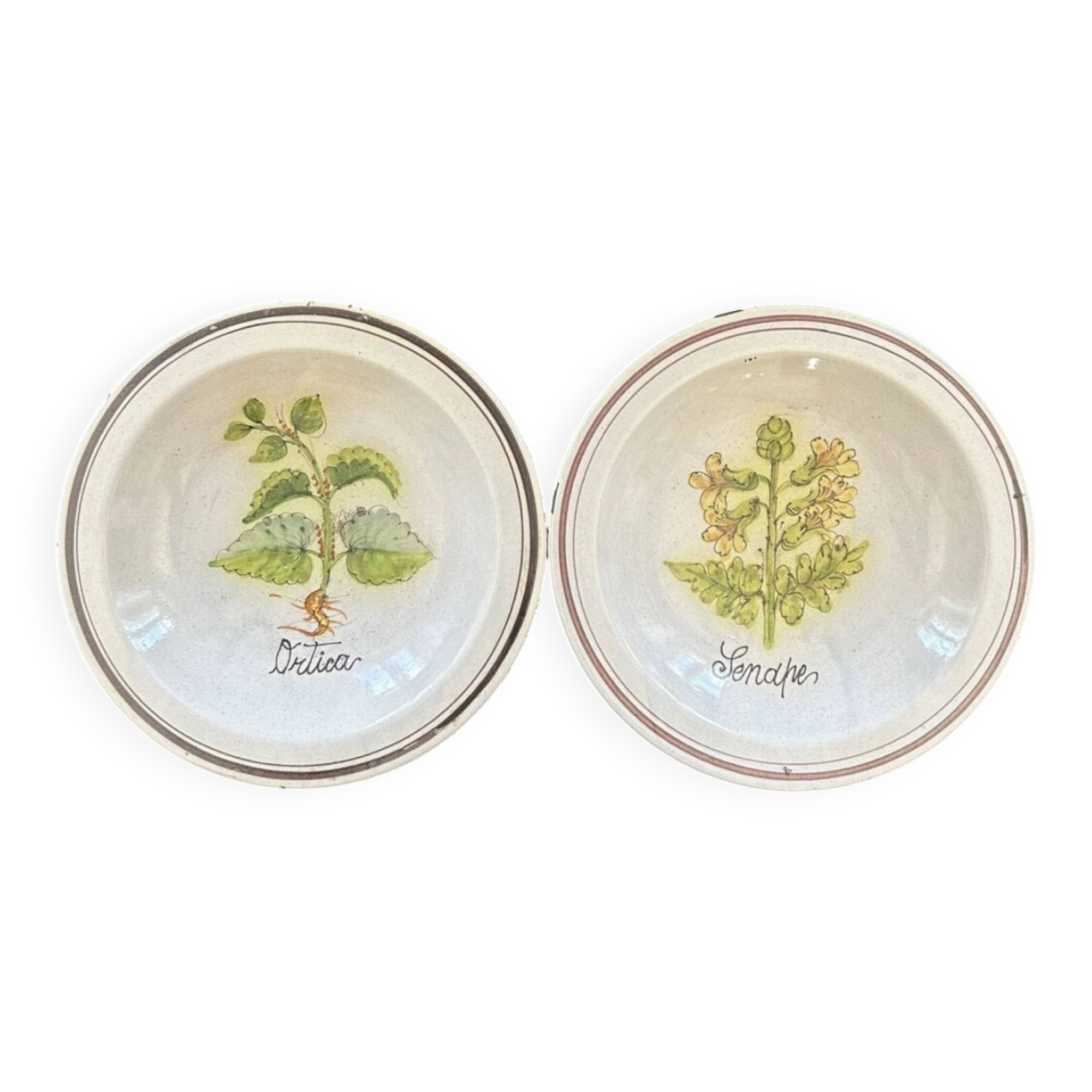 Collection de 2 plats botaniques made in Italy