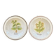 Collection de 2 plats botaniques made in Italy