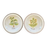 Collection of 2 botanical dishes made in Italy.