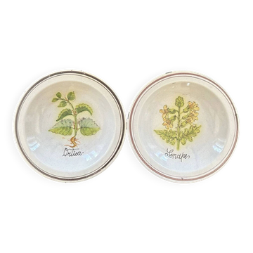 Collection of 2 botanical dishes made in Italy.