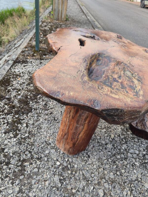 Table basse Brutaliste racine tronc d'arbre en Orme massif 1950s