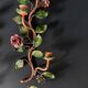 Pair of painted sheet metal flower sconces, Italian, 1960