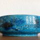 Fish pottery bowl by Aldo Londi for Bitossi, Italy, 1960s.