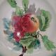 Old Saint Amand dish