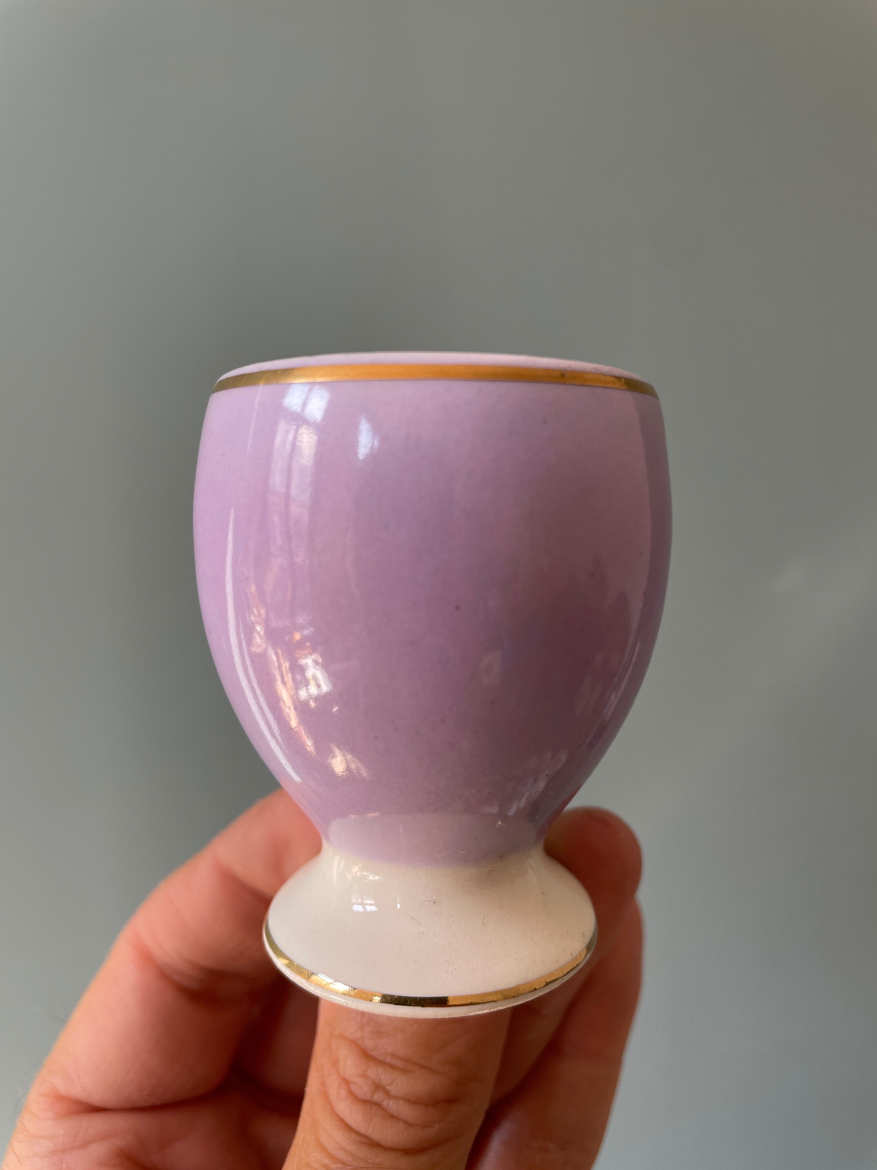 Set of 13 old standing cockroaches