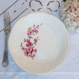 Old flat plates mismatched in earthenware