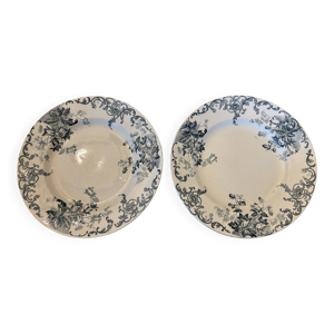 Deux assiettes plates