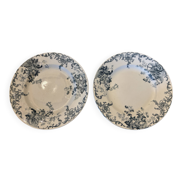 Deux assiettes plates Terre de fer Saint-Amand