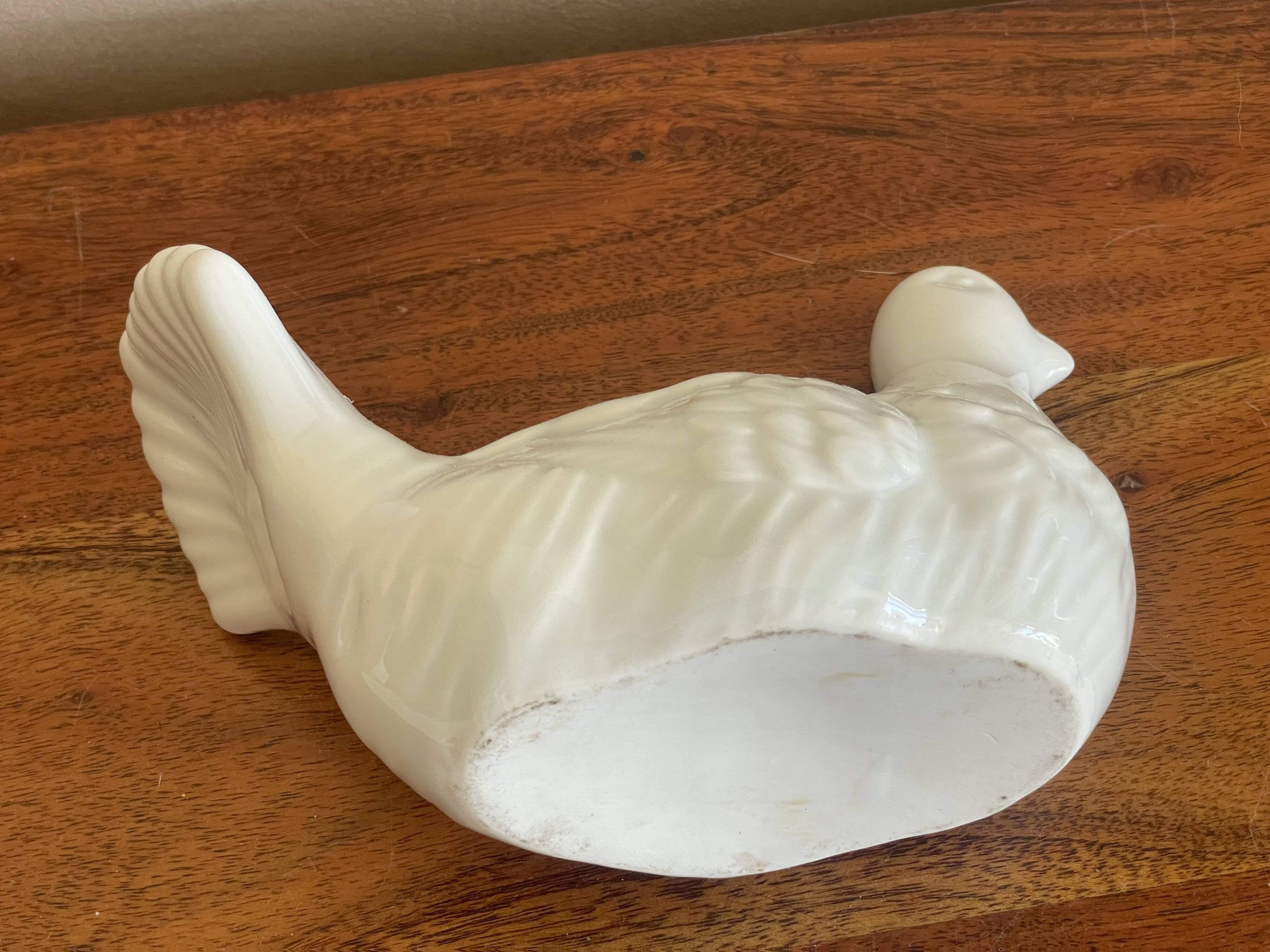 White dove flower spike