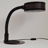 Massive Lighting Vintage Belgian Gooseneck Desk Lamp