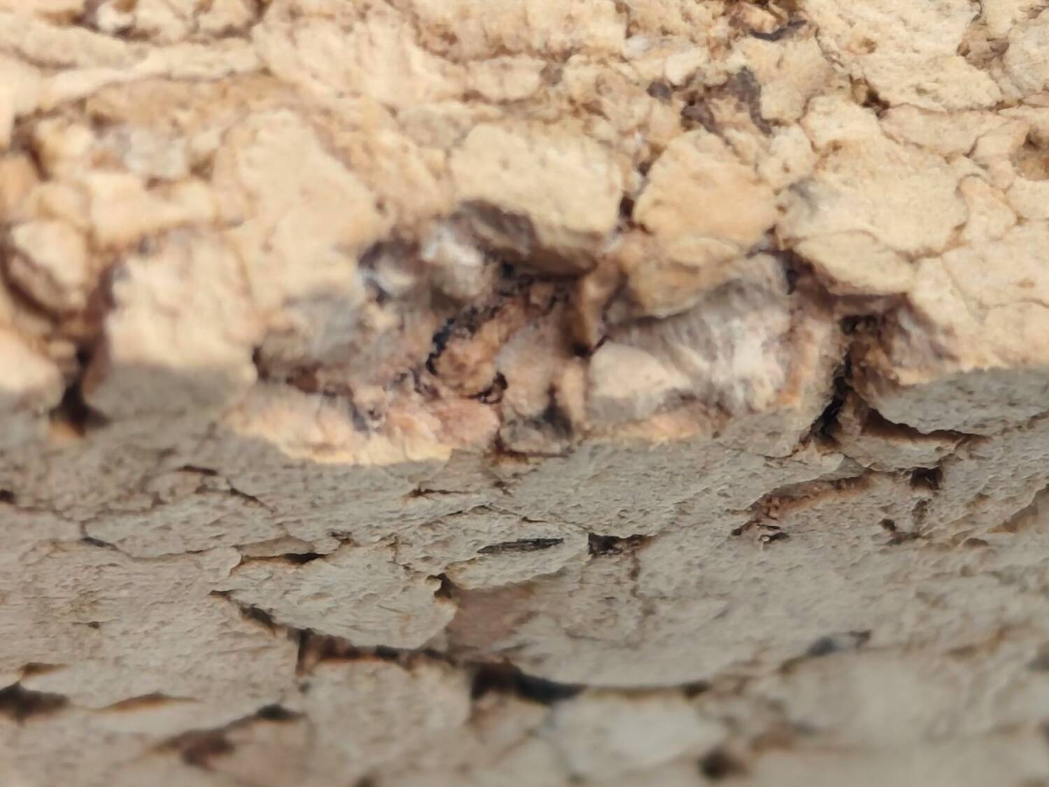 Vintage Modernist Table Lamp Base – Cork and Chrome Design — 1970s