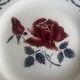 Set of 5 dessert plates earthenware Digoin Sarreguemines Janine