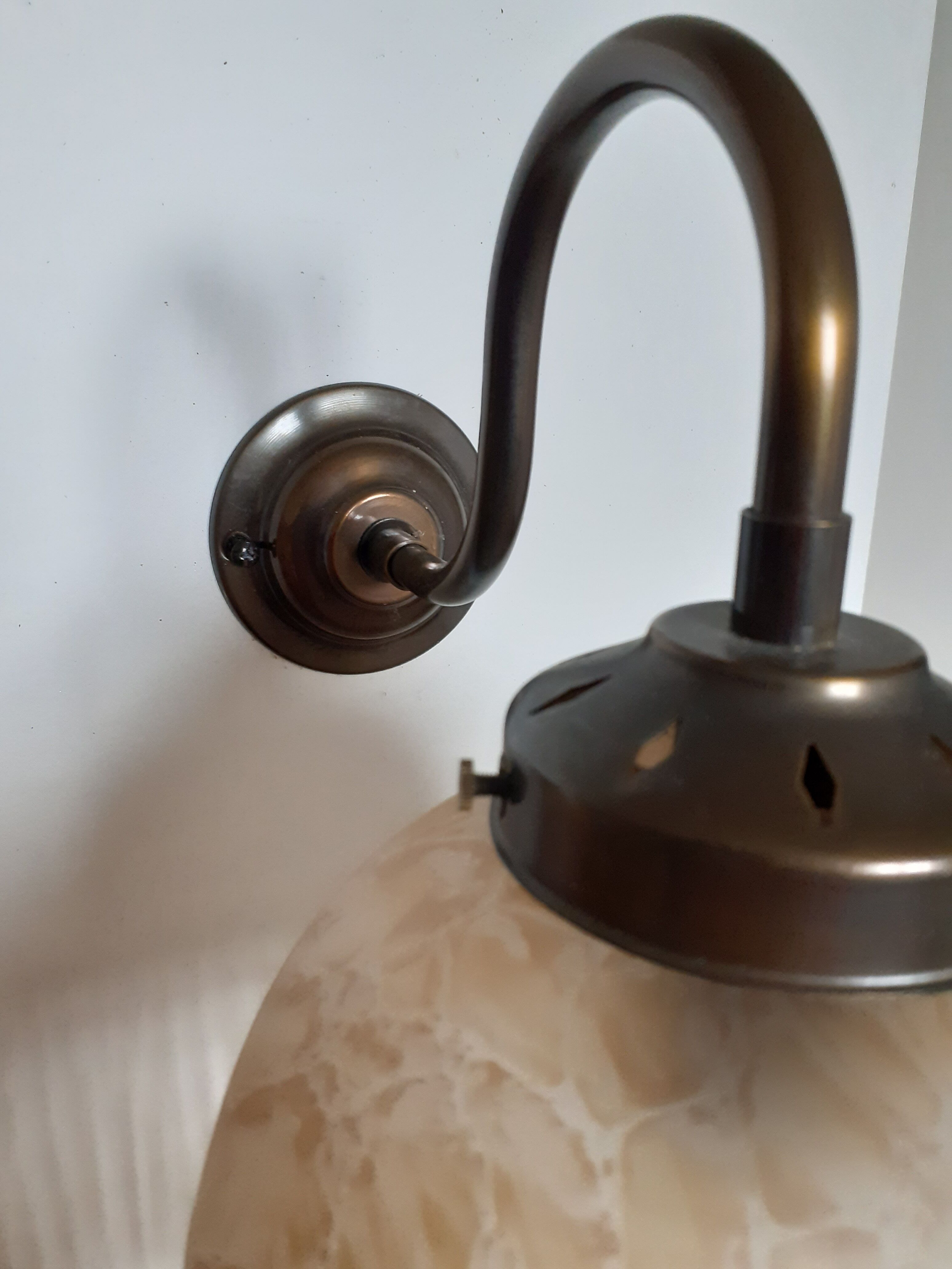 Pair of grapevine wall lamps