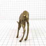 Brass biche