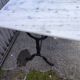 Table café bistro marble stone