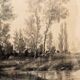 19th century drawing in black chalk