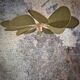 Aerial suspension, 12 metal and linen blades