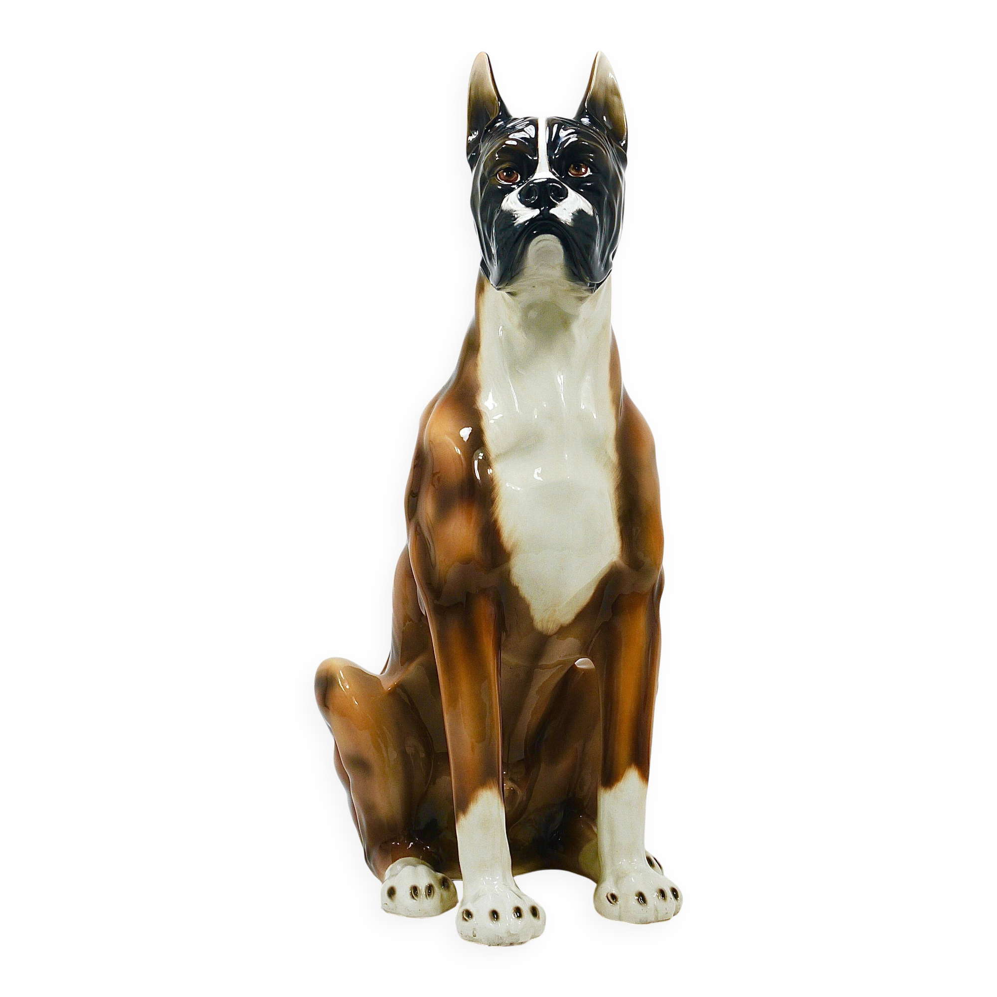Life-size boxer dog statue in majolica, glazed ceramic, Italy, 1970s.