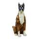 Life-size boxer dog statue in majolica, glazed ceramic, Italy, 1970s.