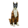 Life-size boxer dog statue in majolica, glazed ceramic, Italy, 1970s.