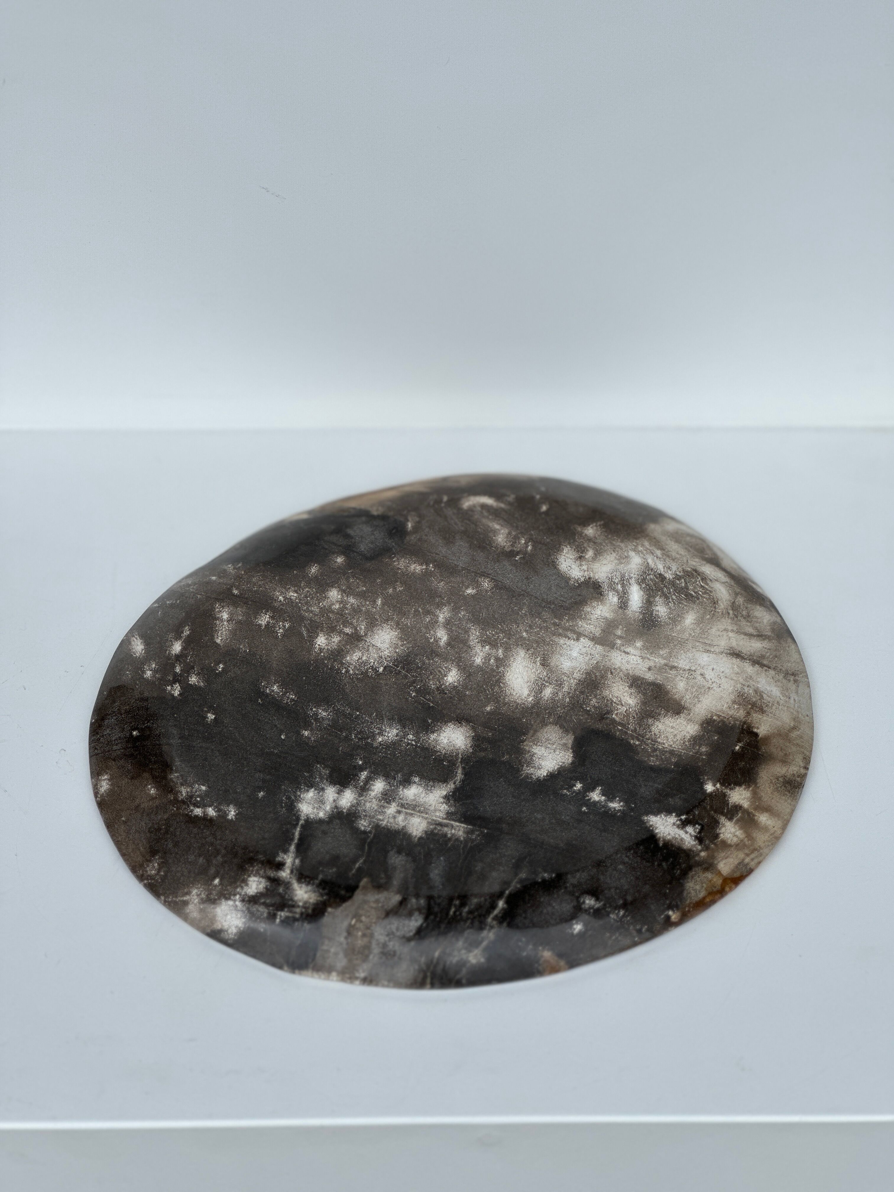 Dish in petrified wood