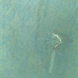 Italian vintage doro burau 1950