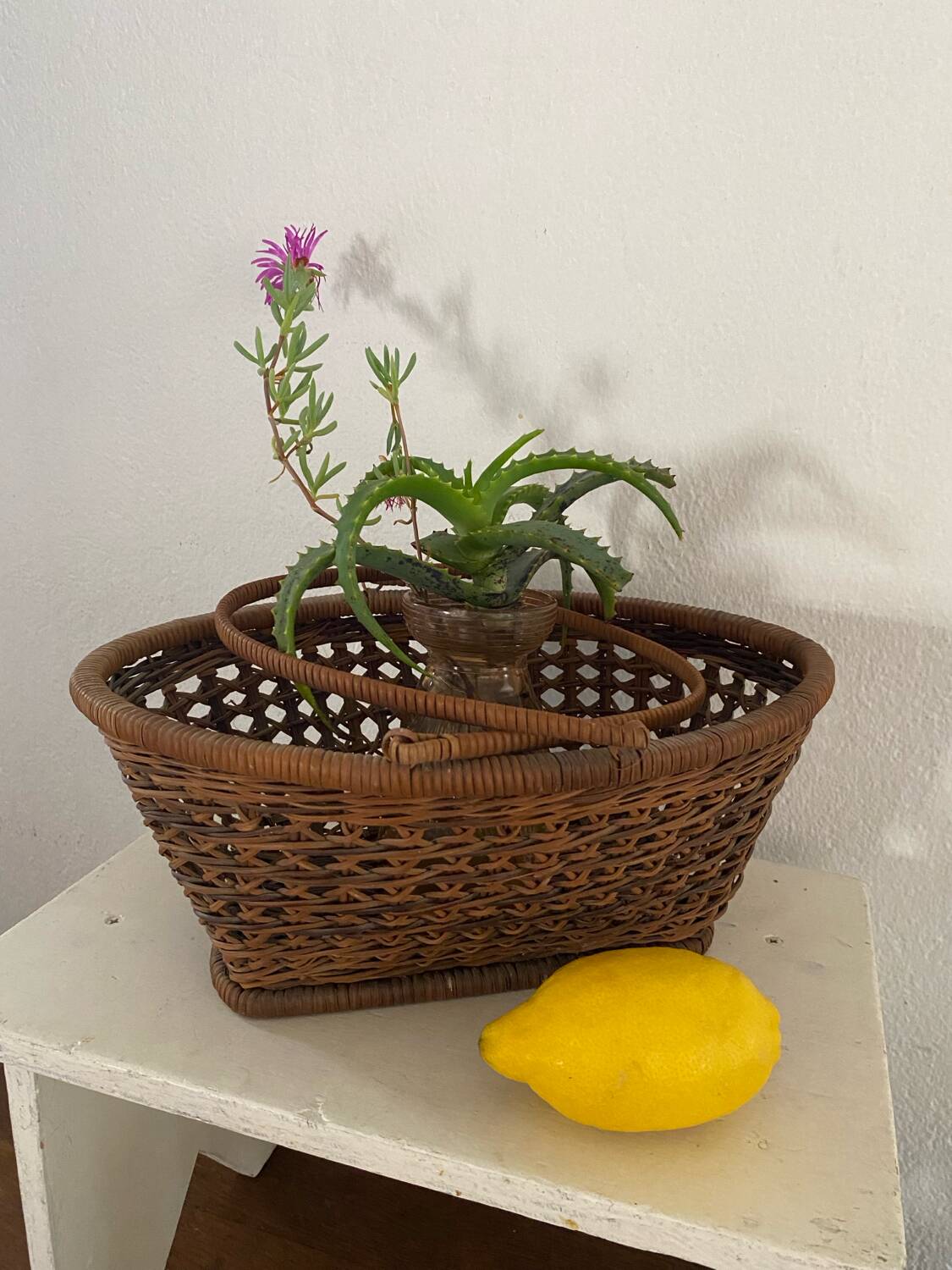Vintage wicker and cane basket in bohemian style