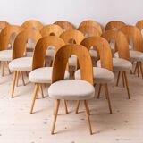 Set of 16 Mid Century Dining Chairs by A.Šuman, Customizable Upholstery Available