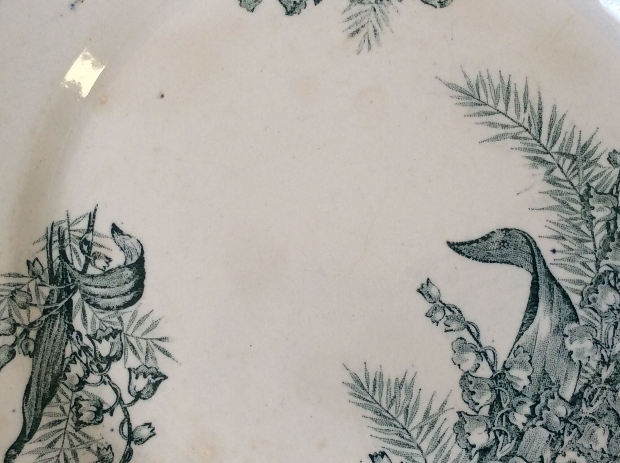 6 Flat plates St Amandinoise St Amand model Lily of the valley