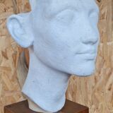 Bust of Nefertiti Louvre Museum Paris