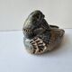 Zoomorphic ceramic sculpture - Duck / Vase of flowers Signed