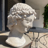 Plaster head