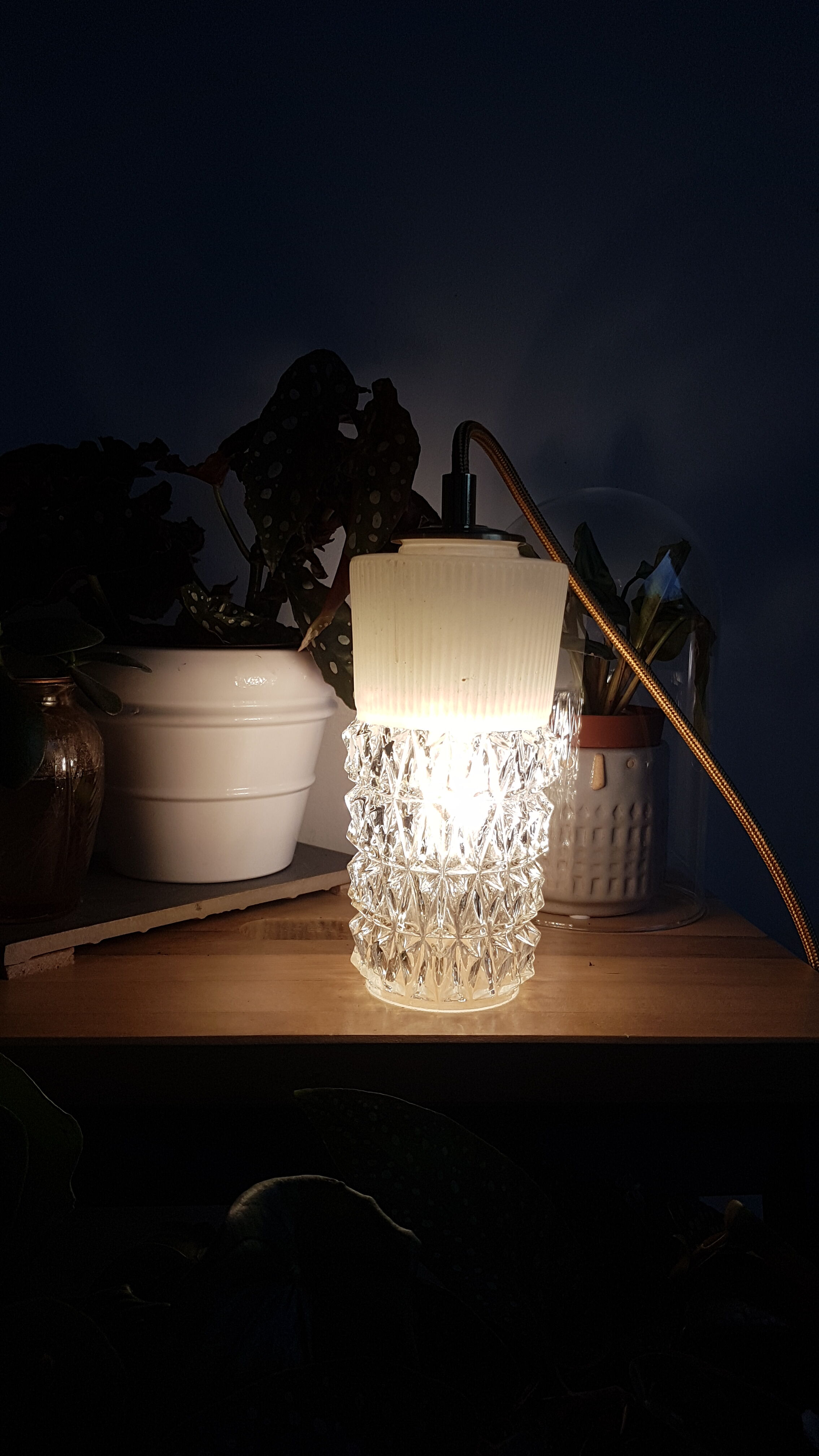 Vintage tulip hanging lamp