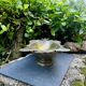 Large fruit bowl with mascaron signed WMF, Art Nouveau period.