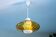 Scandinavian suspension, blown glass and opaline, 1960, new.