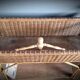 Planter door rattan plant