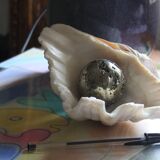 Empty pocket shell