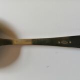 Ice spoon