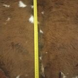 Vintage cowhide carpet