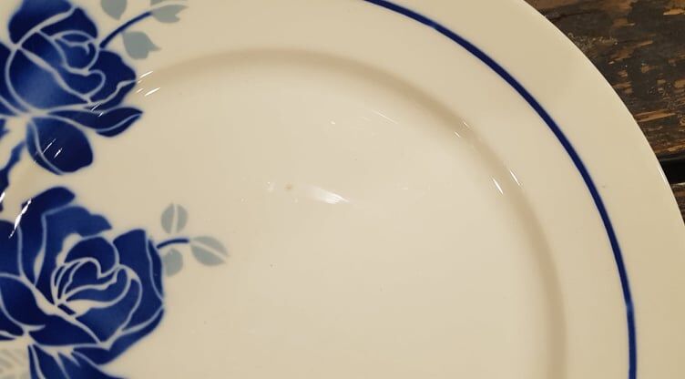 Lot 10 plates Badonviller models Roses