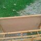 Table basse ancien en rotin vintage