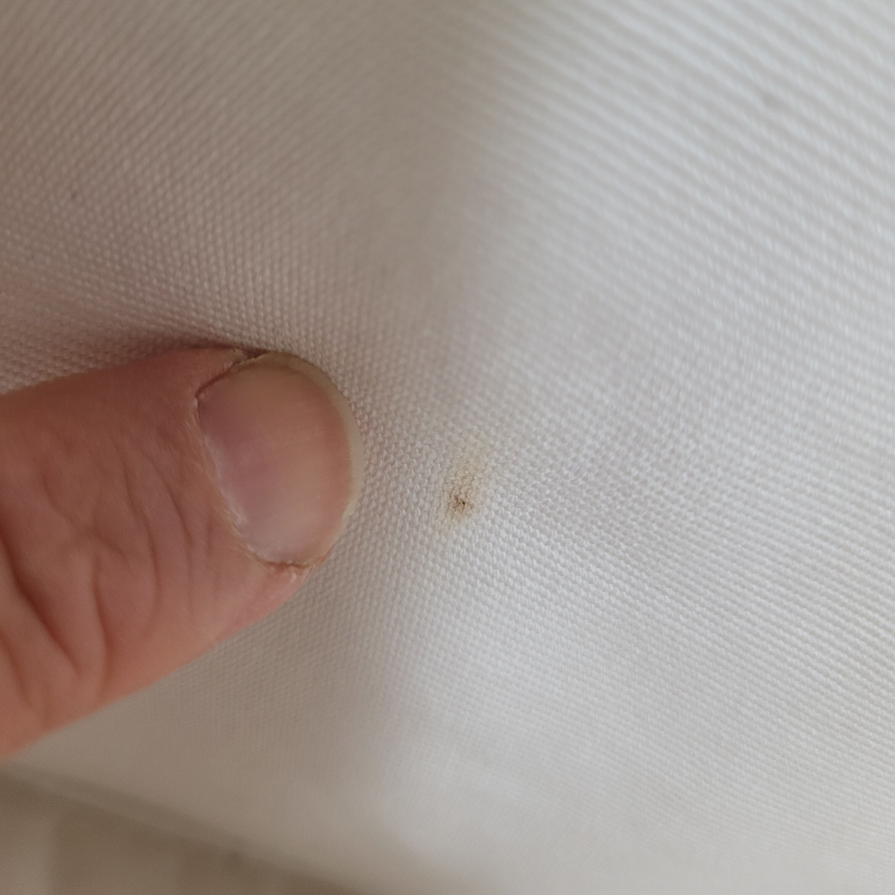 Cassina LC2 armchair, by Le Corbusier