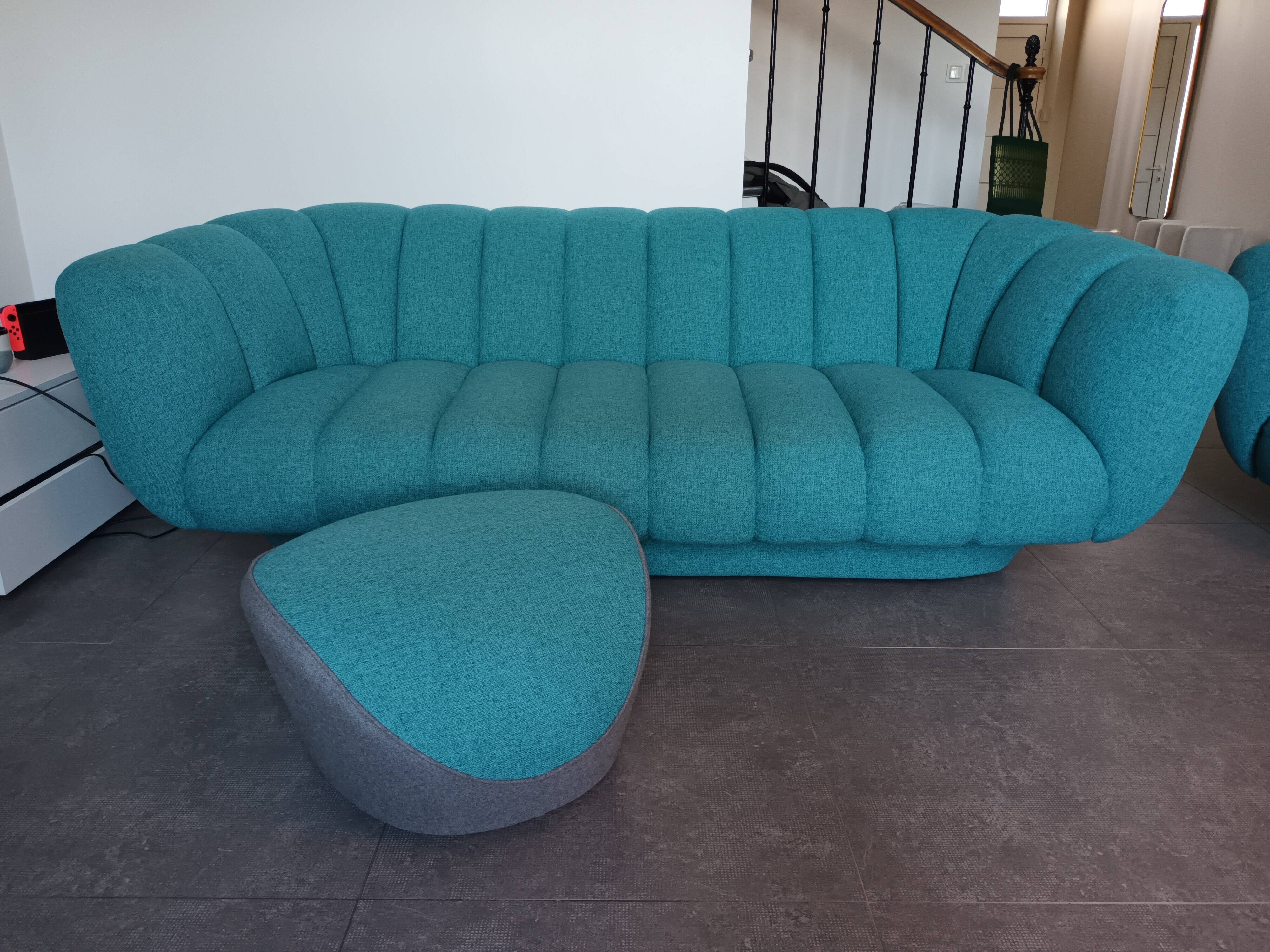 Set of 2 sofas and 2 poufs by Roche Bobois.