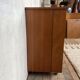Buffet cabinet shoe cabinet on casters