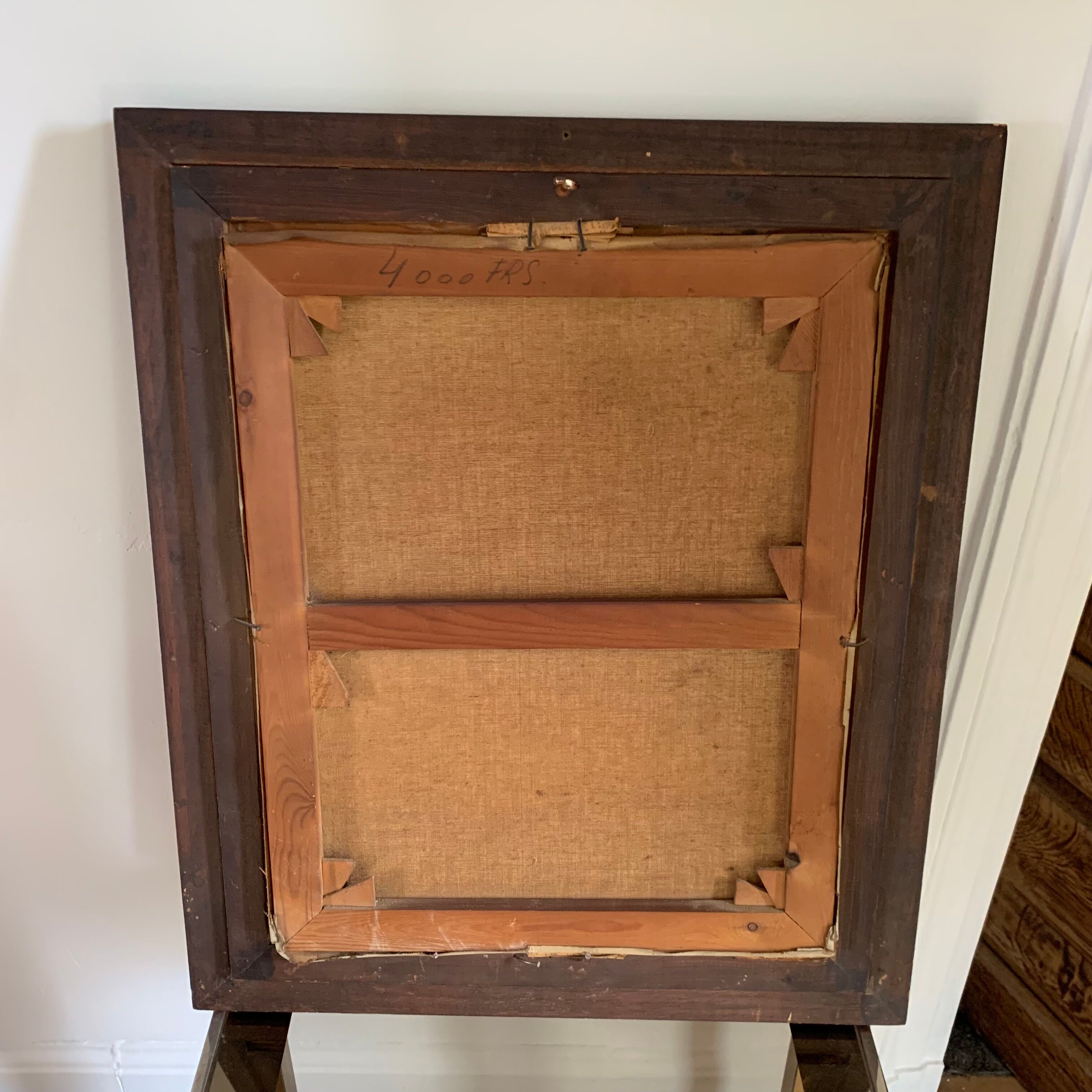 Portrait of a cocker spaniel dog