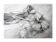 Charcoal drawing of tulips on paper