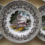 6 deep plates Staffordshire Country Style model