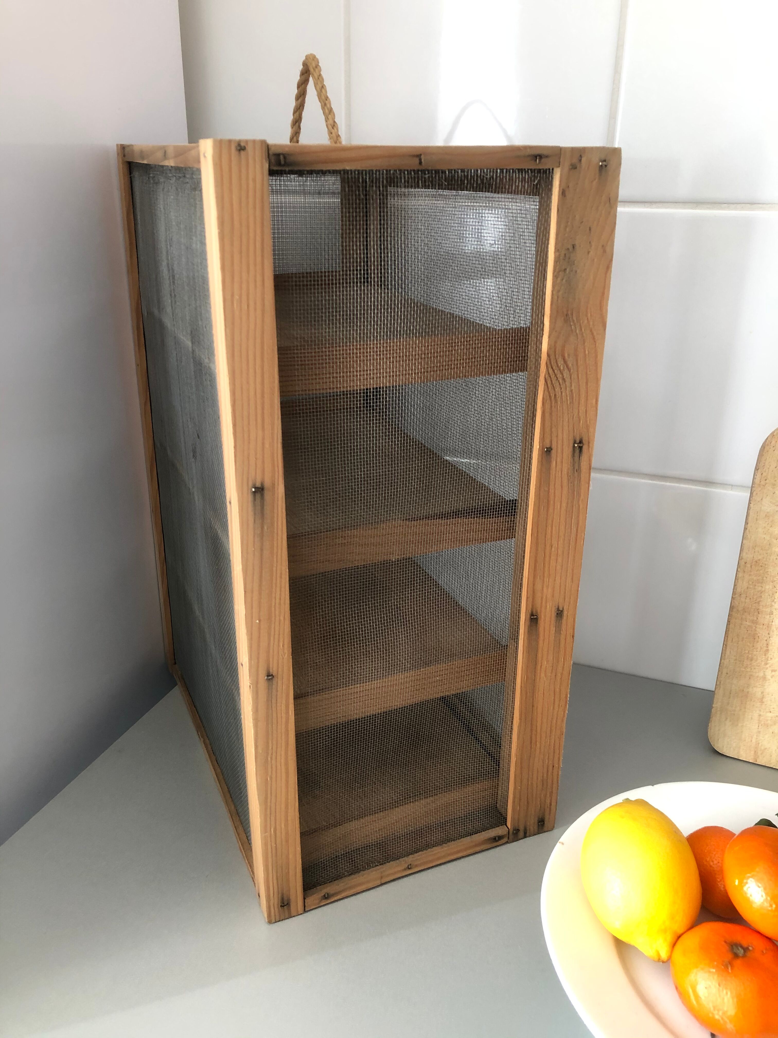 Old wood eating wareat