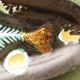Fish dish, 1950s, in Vallauris ceramic, signed Humblot